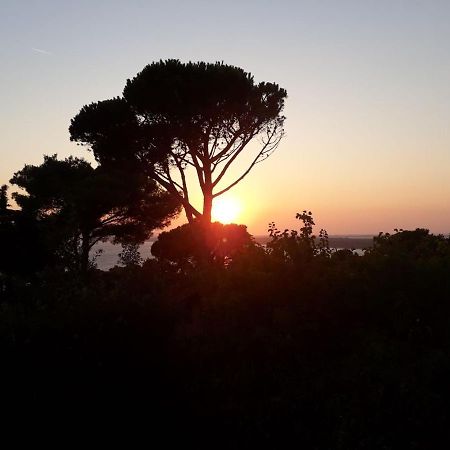 Luxury Penthouse In Naturiste; Fkk, Nudist Village Agde Extérieur photo